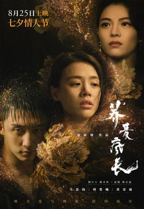 高仿出生证明多少钱